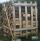 Holz
